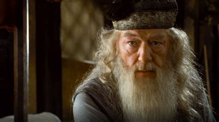 Albus Percival Wulfric Brian Dumbledore: A Deep Dive into the Life of the Greatest Wizard