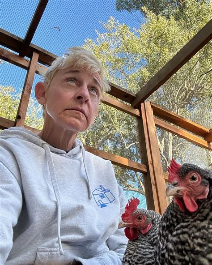 Ami Dolenz Net Worth: A Look at Her Life and Career