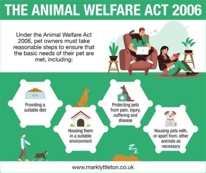 Animal Control Indianapolis: Ensuring Safety and Welfare for All