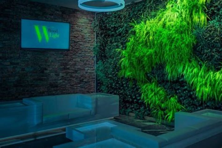 Barron Lighting: The Complete Guide to Innovative Lighting Solutions