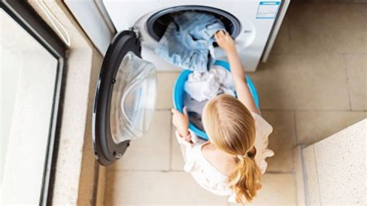 Best Dryers 2023: Choosing the Right One for Your Home