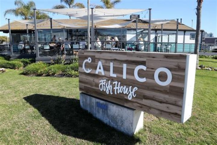 Calico Fish House: A Culinary Journey Through Flavor and Tradition