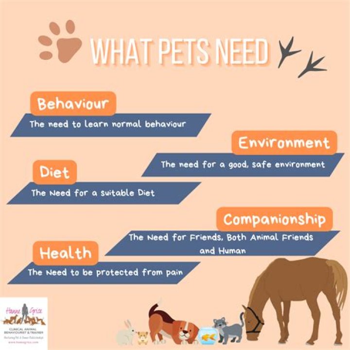 Comprehensive Guide to Animal Services in Miami: Enhancing Pet Care and Welfare