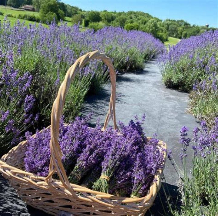 Discover Betsey's Boutique: A Hidden Gem in Rockford, Ohio