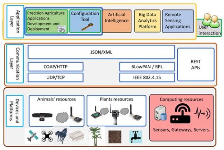 Discover Roderick Wong's Insights: An In-depth Exploration