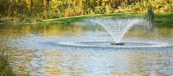 Discover Saxon Pond Flats: Your Tranquil Oasis