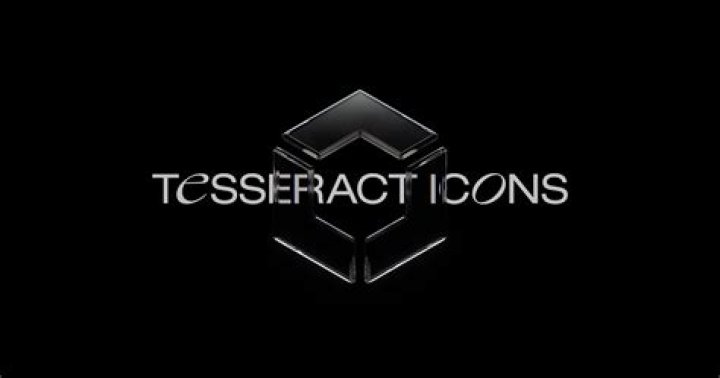 Discover the Exclusive Ironworks Collective Inc. STIIIZY Collection