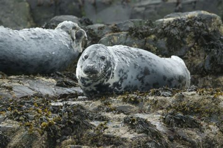 Discover the World of Douglas Ostrover: Leading Expert and Visionary