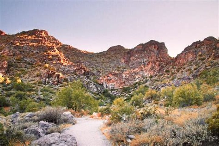 Discovering the Town of Surprise, Arizona: A Hidden Gem in the Desert