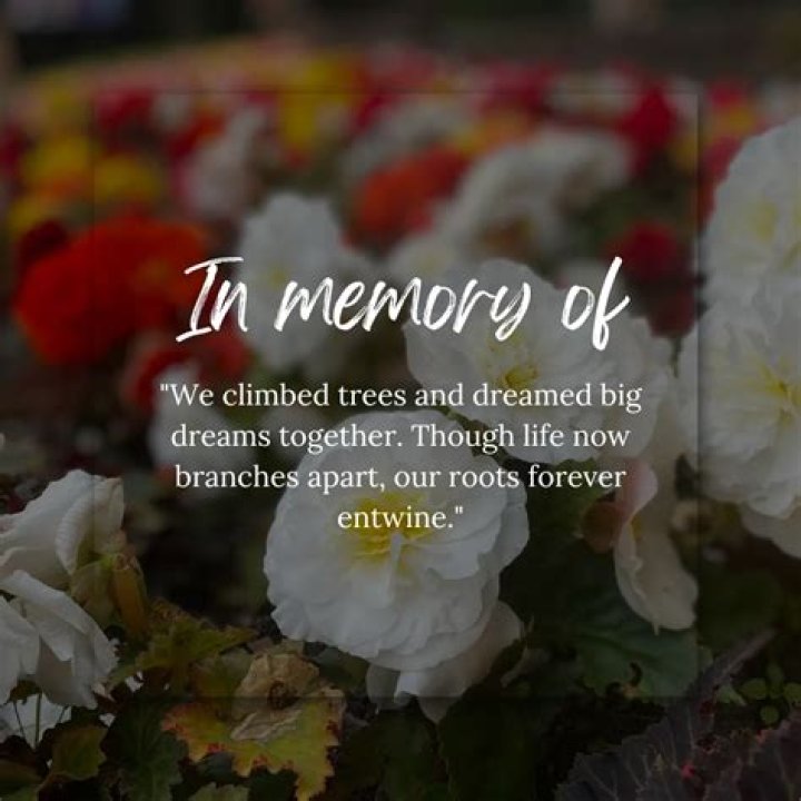 Eidsness Funeral Home Obituaries: Honoring Lives and Memories