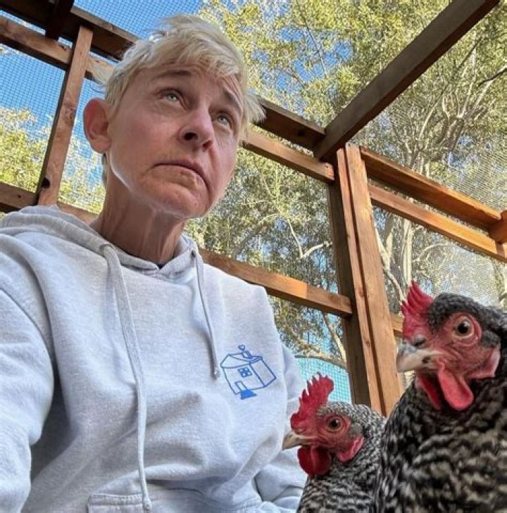 Erica Dixon Age: A Comprehensive Look at Her Life and Career