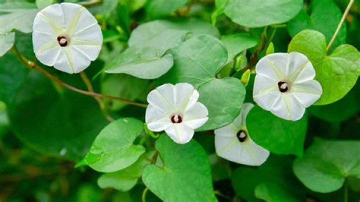 Exploring Sam's Lake Charles: A Comprehensive Guide