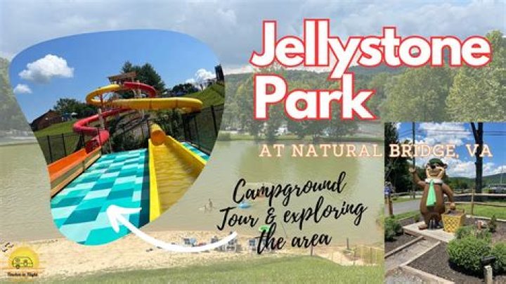 Exploring the Art of Jellystone Carver: A Deep Dive into Craftsmanship