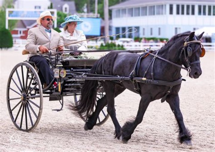 Exploring the Carriage Trade in Pennsylvania: An Insightful Guide