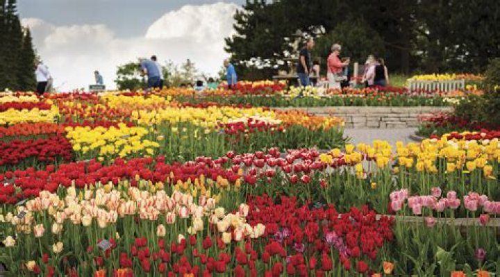Exploring the Landscape Arboretum in Chaska: A Botanical Wonderland