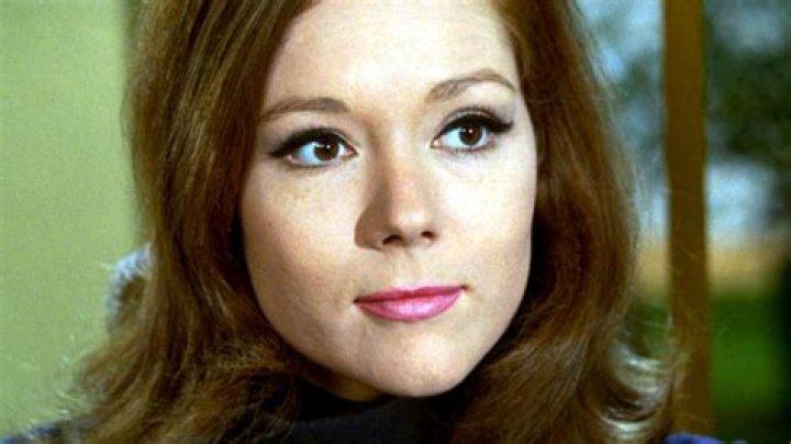 Exploring the Life and Career of Comedian Lovett