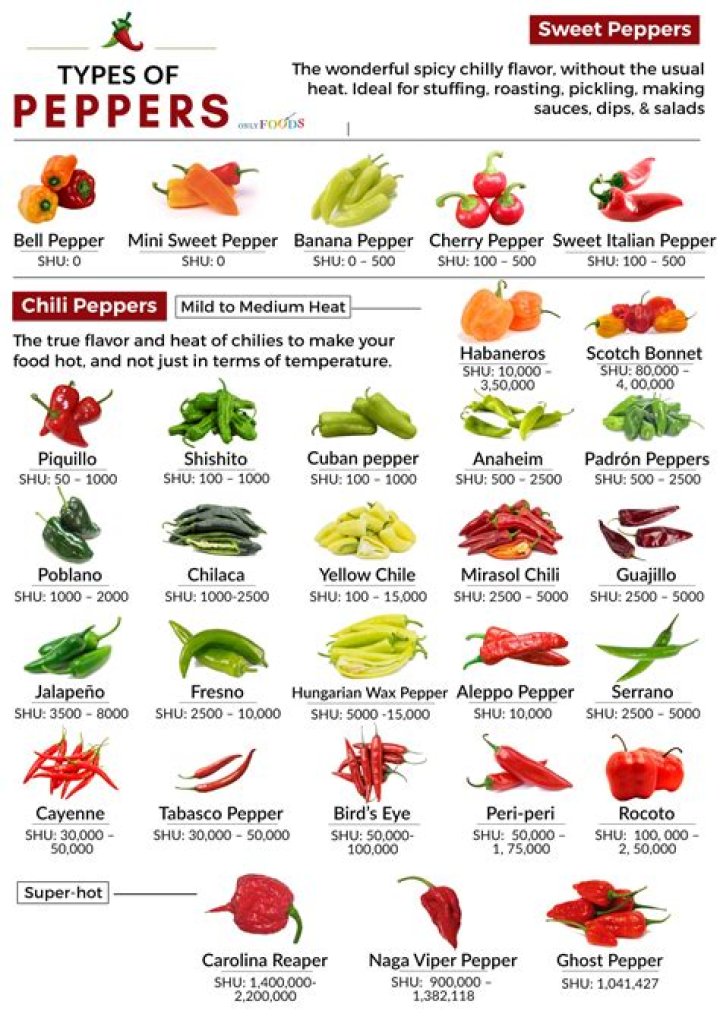 Exploring the Spicy World of Jalapeno Peppers: A Complete Guide