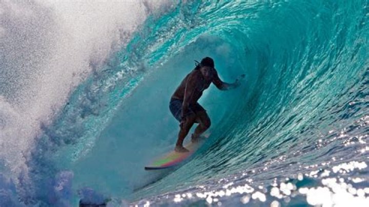 Exploring the Waves: The Life and Journey of Tamayo Surfer