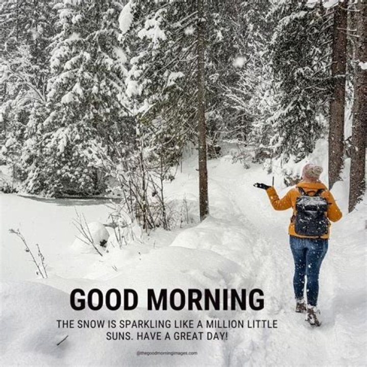 Good Morning Snow: Embracing the Beauty of Winter Mornings