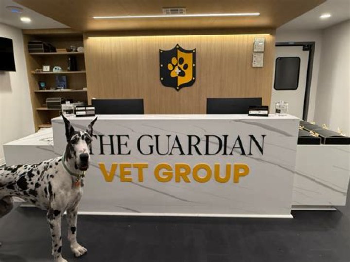 Guardian Vet Specialists: Your Trusted Partner in Pet Care
