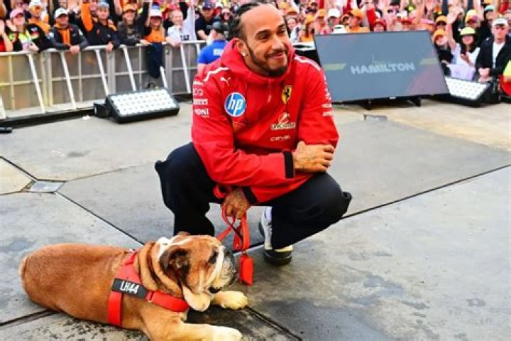 Lewis Hamilton and His Beloved Dog: A Heartwarming Bond