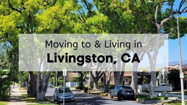 Livingston DMV: Your Comprehensive Guide to Livingston, LA