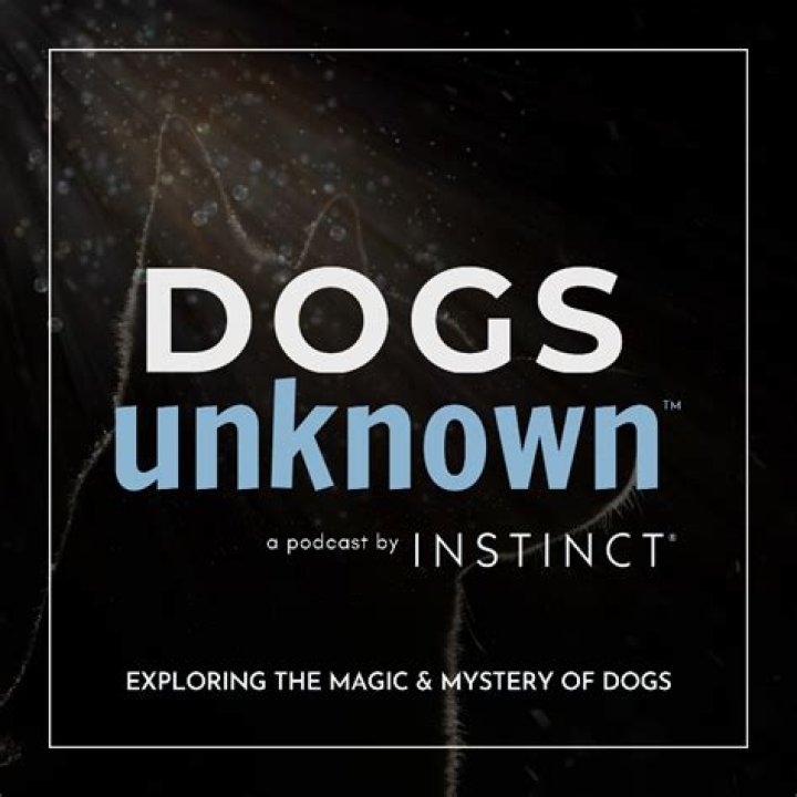 Mastering Instinct Dog Training: Unlocking Your Dog's Potential