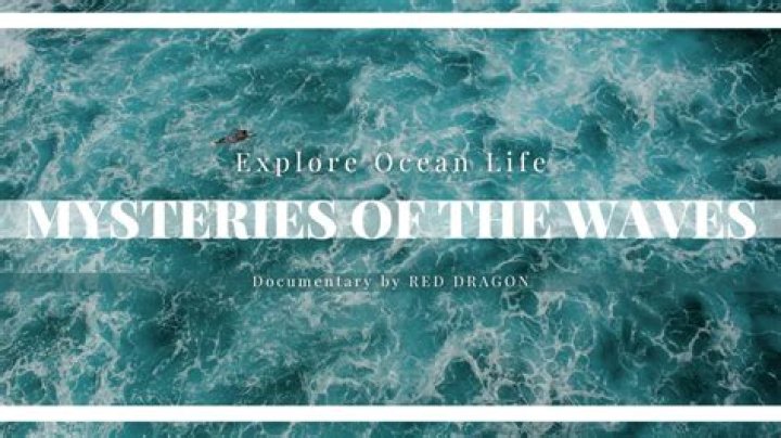 Ocean Treasure: Exploring the Mysteries Beneath the Waves