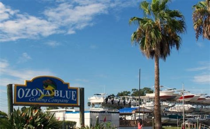 Ozona Blue: A Gem in Palm Harbor, FL