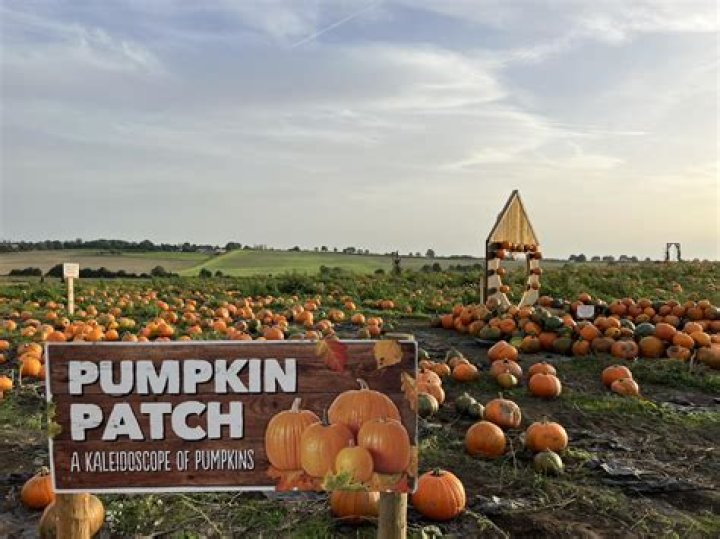 Pumpkin Patch Farmer: The Art and Business of Growing Pumpkins