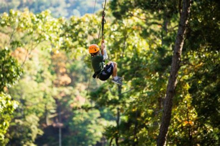 Rugaru Adventures Ziplining Tour: An Unforgettable Experience in Nature