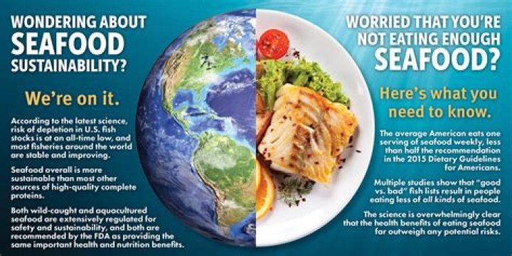 Sea Harvest Moss Landing: The Ultimate Guide to Sustainable Seafood