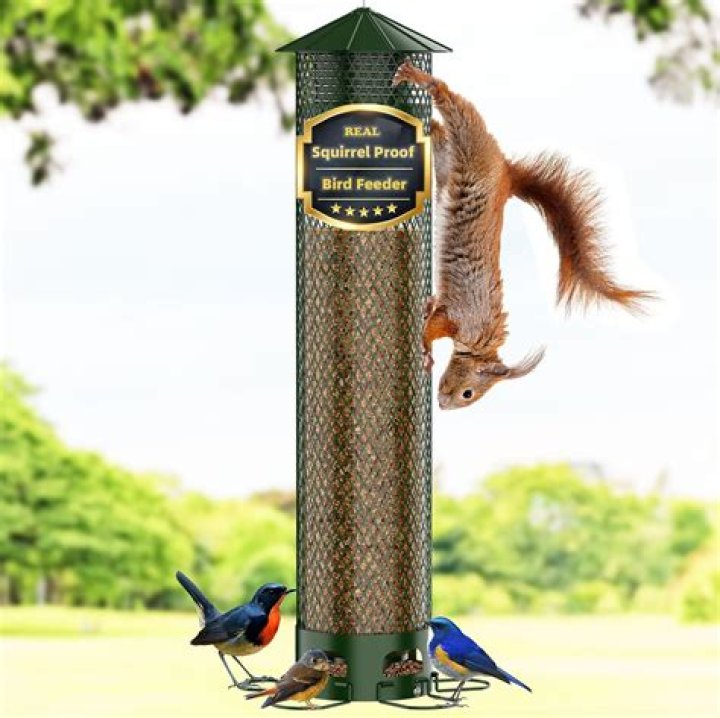 Spinning Squirrel Proof Bird Feeder: The Ultimate Solution for Bird Lovers