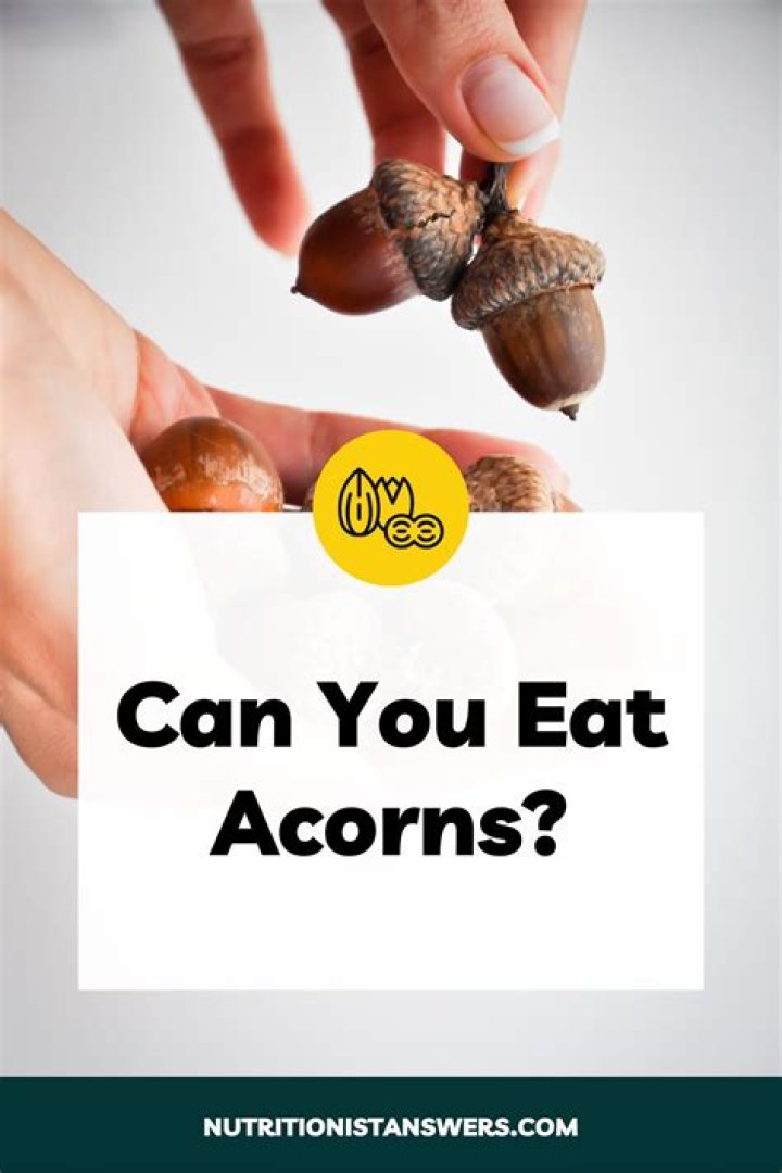 The Ultimate Showdown: Sofi vs. Acorns: Which is Right for You?