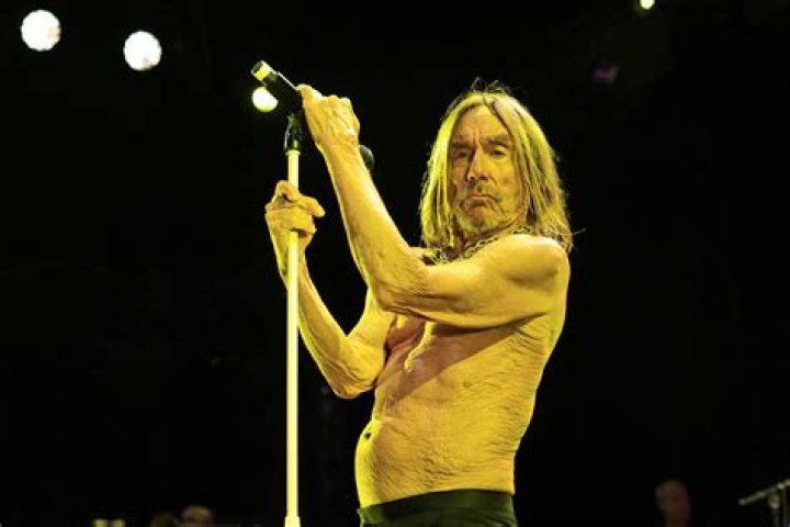 Understanding Iggy Pop Net Worth 2024: An Iconic Journey