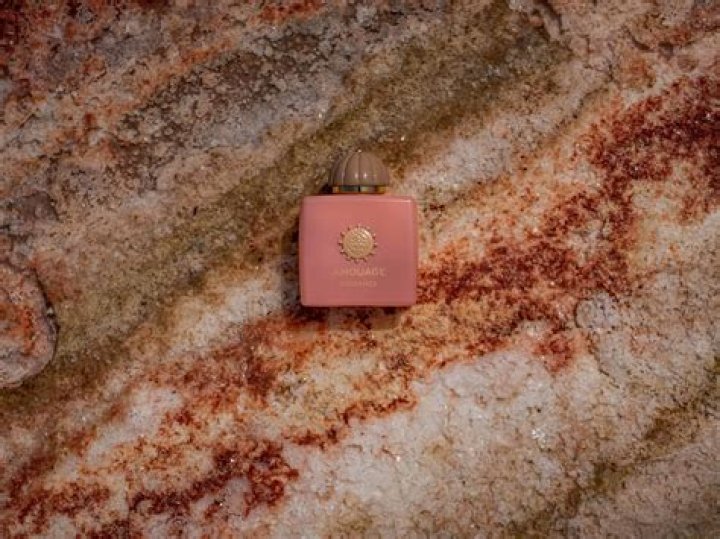 Weird Fish Company: A Deep Dive into Sustainable Fashion